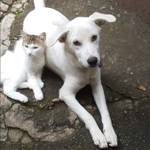 Meet your Posher, Jefri